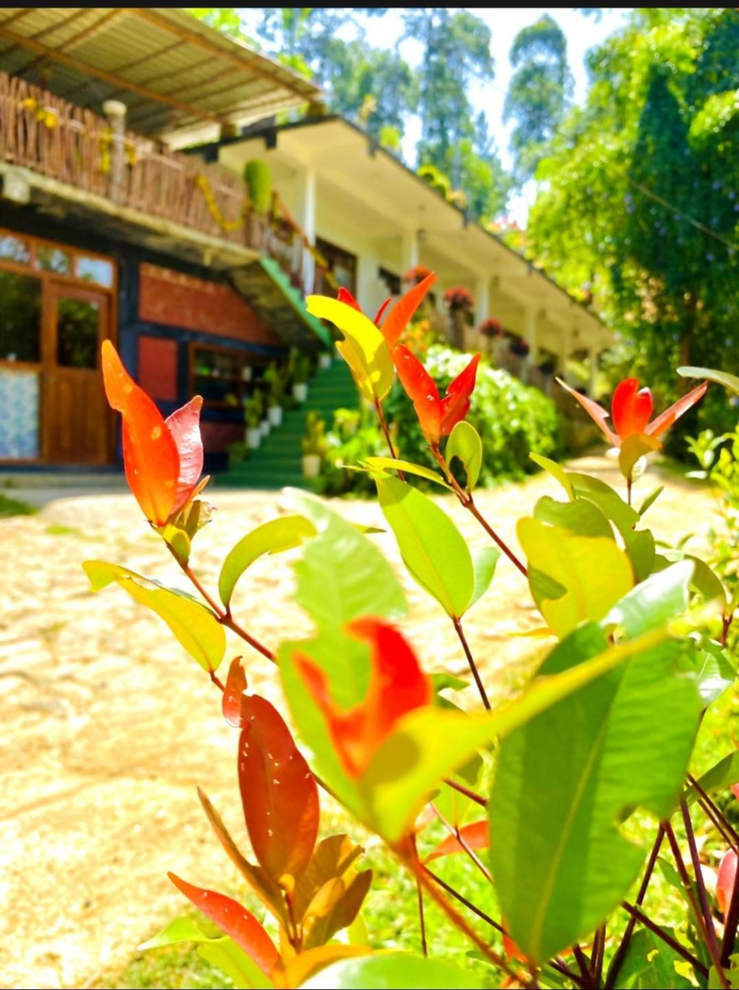 Blissful Haven Hotel Ella Exterior foto