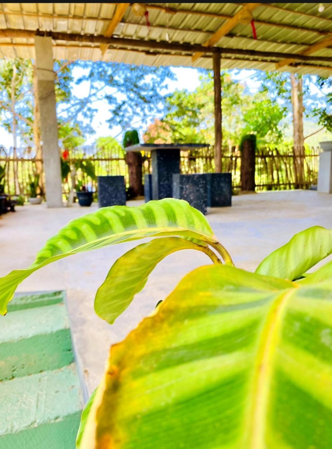 Blissful Haven Hotel Ella Exterior foto
